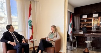 لقاءٌ بين حمية والسفيرة النرويجية