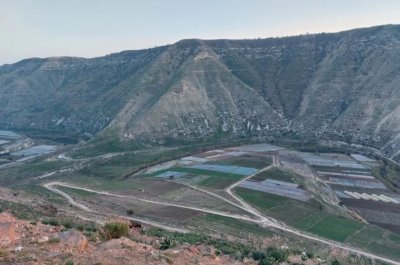 الجيش الإسرائيلي يعتقل مواطنًا سوريًا في كويا ويحتجز أغنامه
