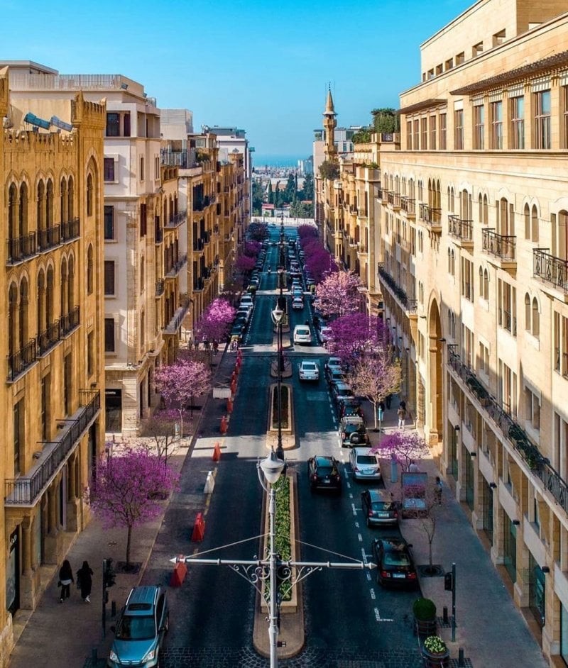 "الفرص تضيع"... قطاع مهدد بـ"خطر داهم"! "الفرص تضيع"... قطاع مهدد بـ"خطر داهم"!