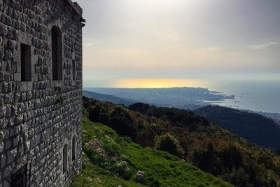 إزدهار متني