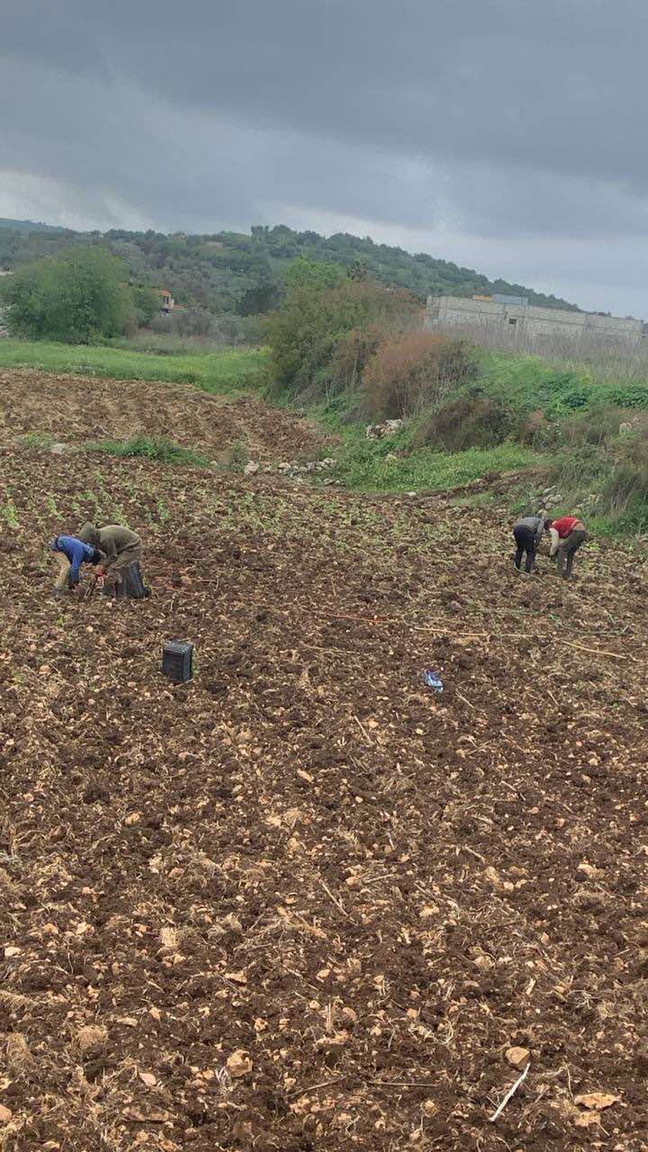 للسنة الثانية… "دخان الجنوب" يغيب تحت نار الحرب
