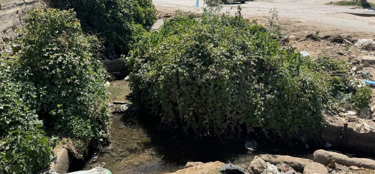 "بيئة زراعية نظيفة في بعلبك: التلوث انتهى والإجراءات فاعلة!