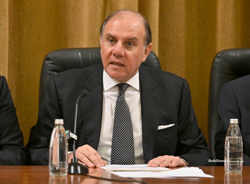 أمام صندوق النقد... سعيد يضع خريطة طريق لإنقاذ الاقتصاد
