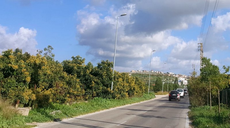 اتصالات "مشبوهة" تثير الرعب في بلدة جنوبية... مشروع "ماريو" في خطر؟!
