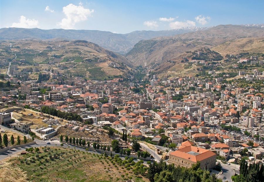 شابٌ مشنوق على شجرة في برالياس! (صورة)
