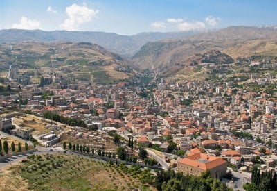 شابٌ مشنوق على شجرة في برالياس! (صورة)
