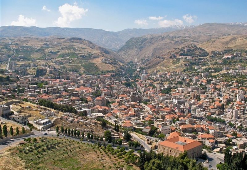 شابٌ مشنوق على شجرة في برالياس! (صورة)