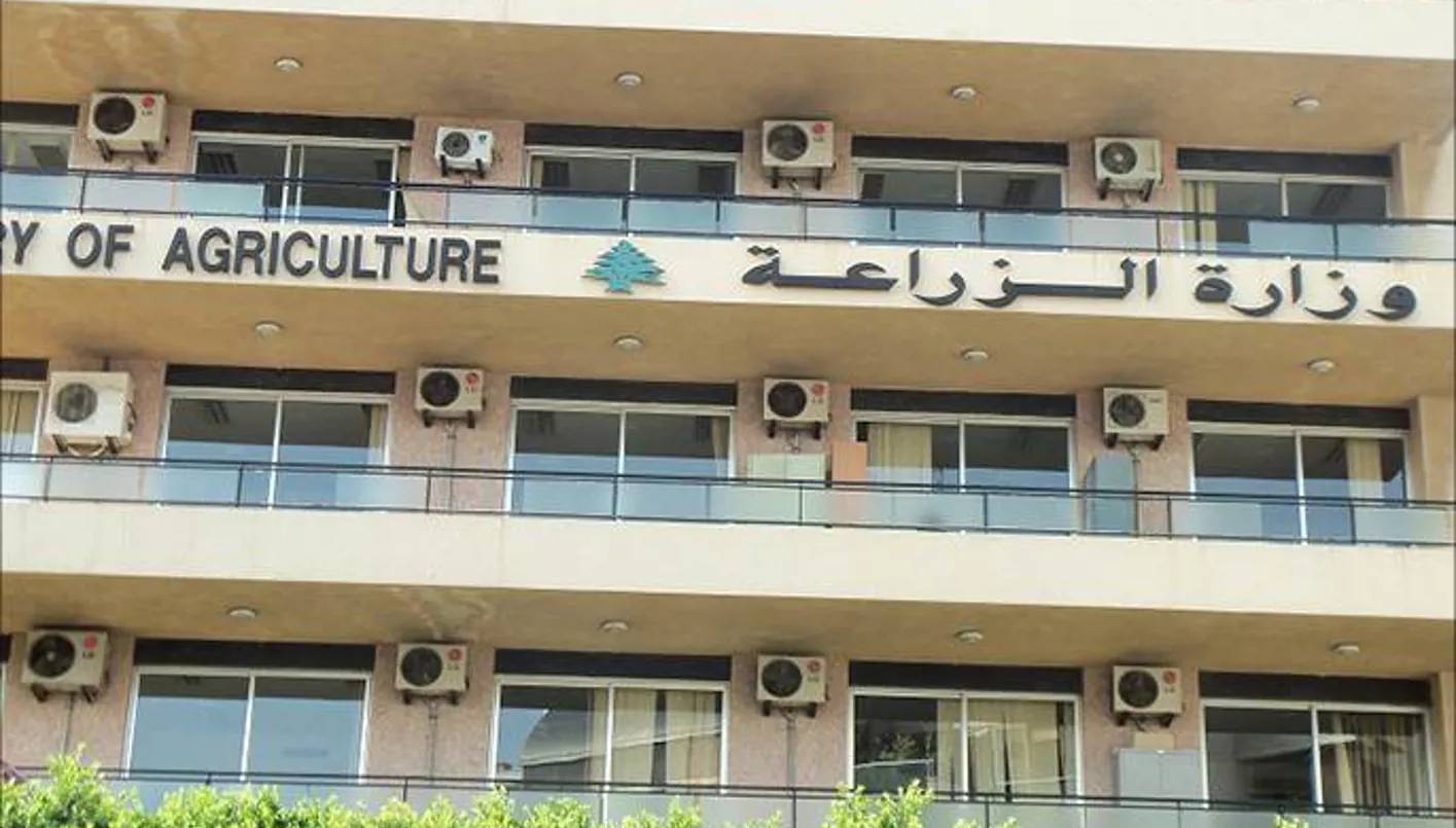 فيديوهات قديمة تشعل التحقيق... بلاغ عن 