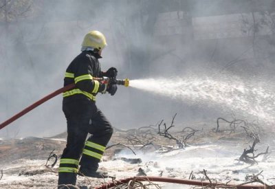 إثر اندلاع حريق هائل... دعوةٌ من 