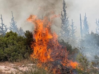 حرائق ضخمة في جبال القدس... وإسرائيل تطلب المساعدة الدولية (فيديو)
