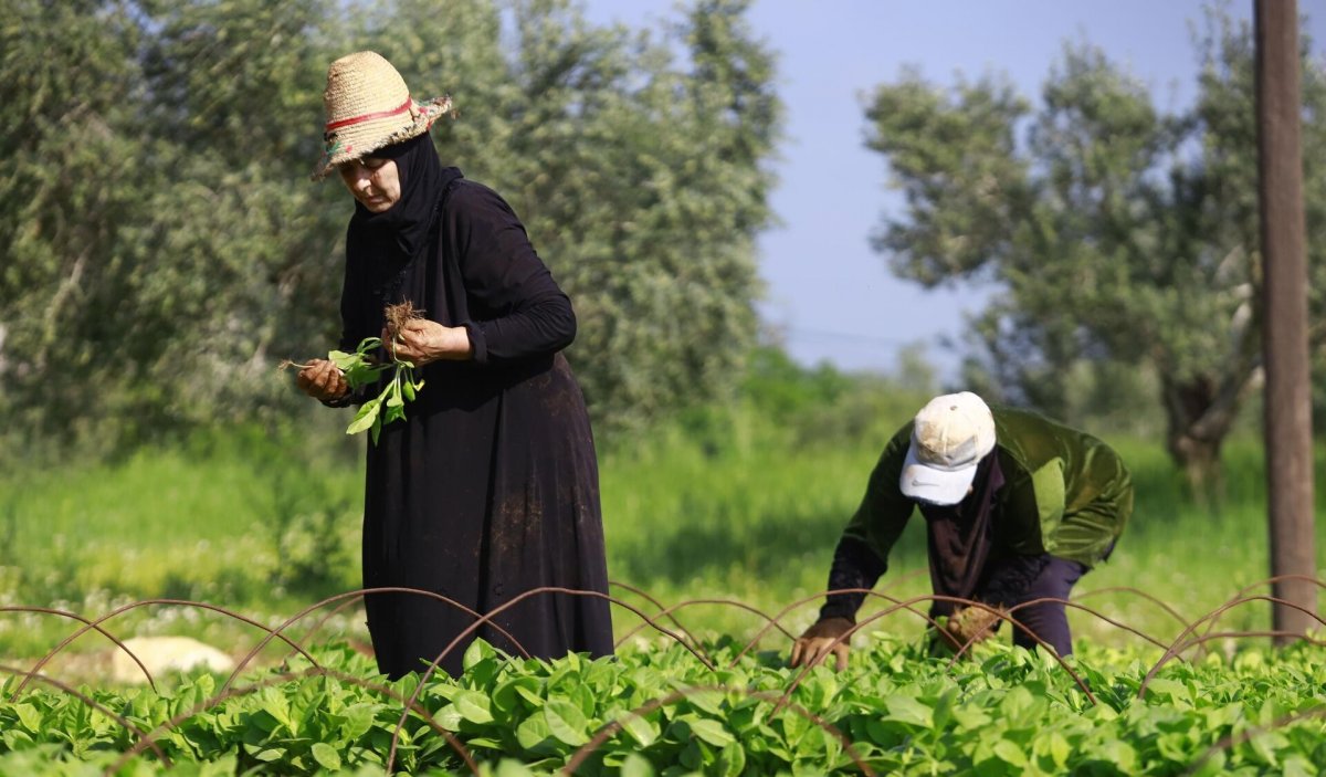 "بشرى سارة" للمزارعين الجنوبيين!