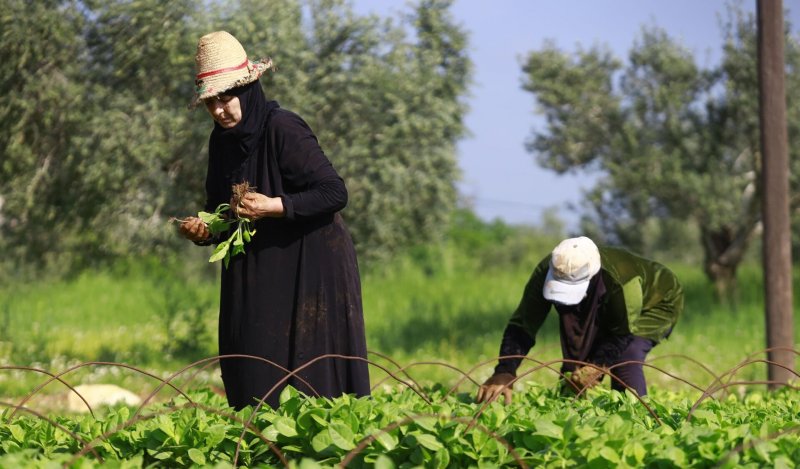 "بشرى سارة" للمزارعين الجنوبيين!