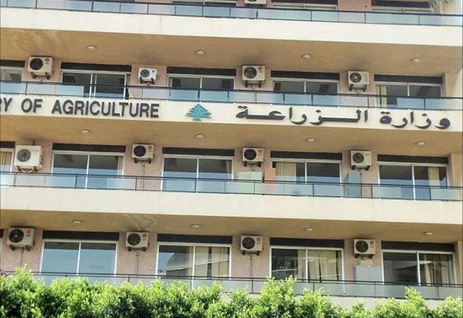 بيع "أسماك قرش" في الميناء... و"الزراعة" تتحرك!