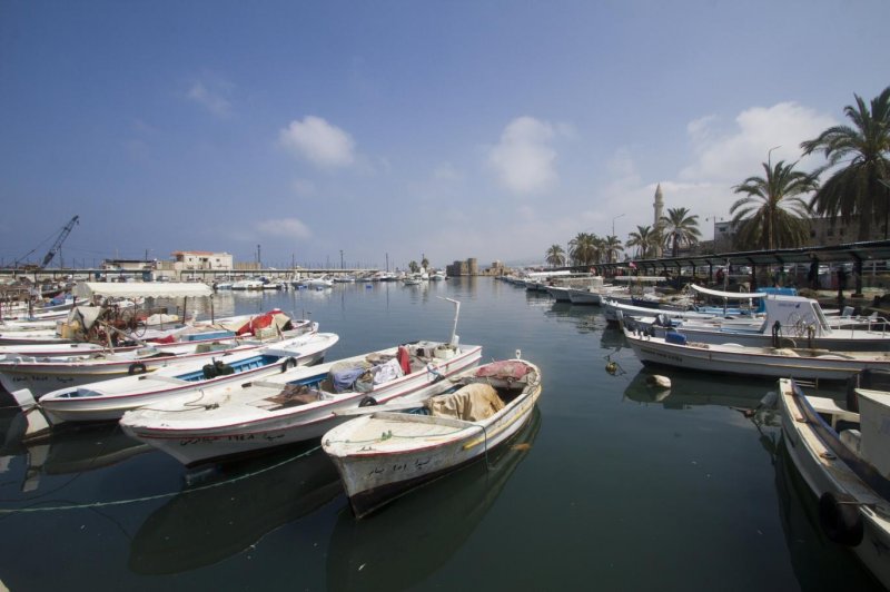 في مرفأي الدورة والأوزاعي... مصادرة "أسماك غير قانونية" وتسجيل محاضر ضبط!