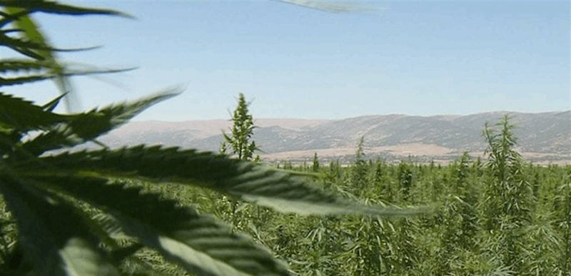 بين جرود الهرمل والضنية... مداهمة مستودع لتخزين 