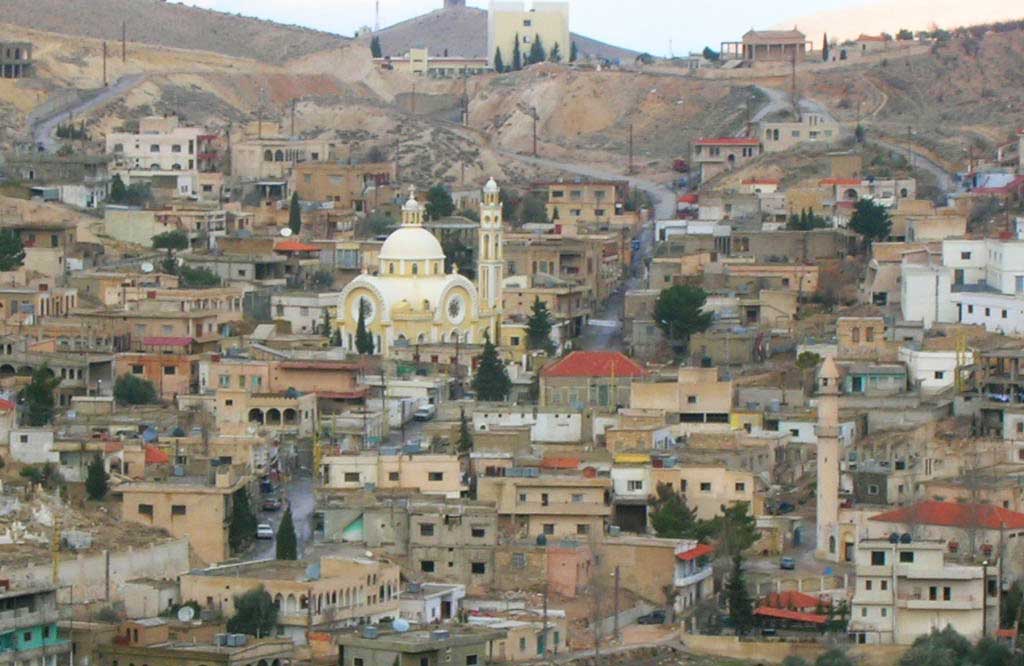 تشابك بالأيدي في الفاكهة.. والجيش يتدخل!