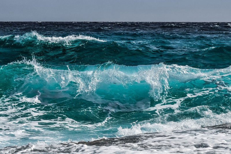 الجيش ينتشل جثة مواطن قبالة شاطئ حالات