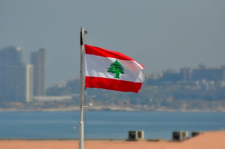 تزخيم... وتنفيذ
