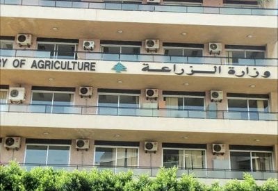 بعد 