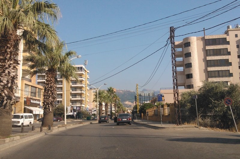 إشكال وإطلاق نار يهز بلدة زغرتاوية... والجيش يتدخّل! (فيديو)
