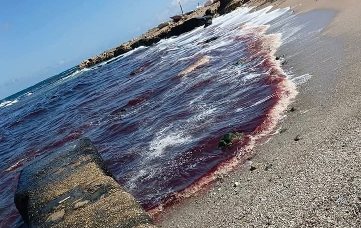 في ظاهرة غامضة... البحر الأحمر في طرابلس! (صور)