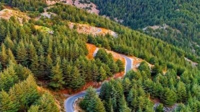 تدابير سير بمناسبة افتتاح غابة شهداء 