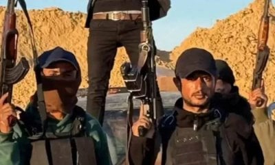 عصابات الدعارة: صناعة إسرائية في غزة!