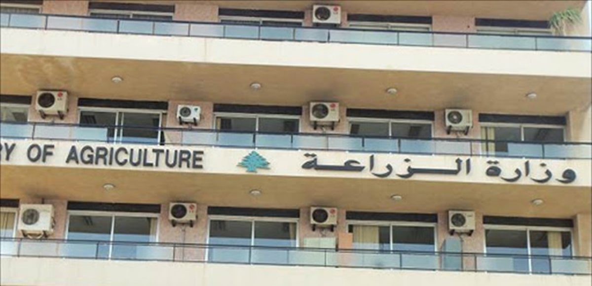 مساعدات نقدية... وزارة الزراعة تطلق مبادرة لدعم صغار المزارعين في الجنوب