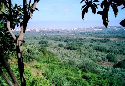 جريمة موصوفة في الكورة... ودعاوى بالجملة تطالب بسجن كل متورّط!

