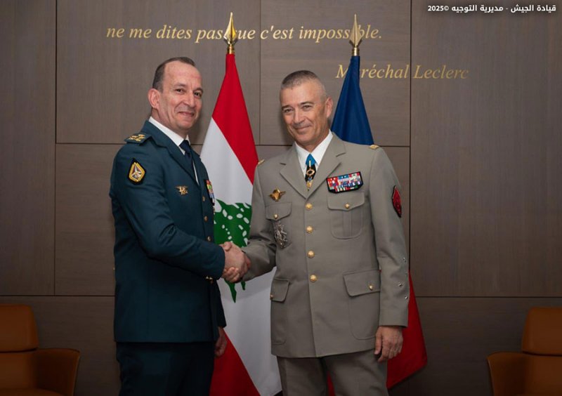 بالصور: هيكل في فرنسا