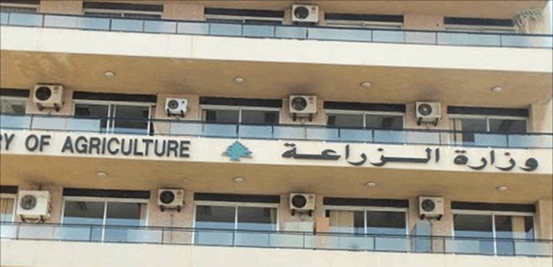 مرسوم جديد يرفع عدد حرّاس الأحراج والصيد في الملاك!
