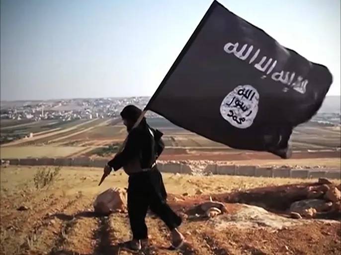 دعم أميركي جديد لمواجهة عودة "داعش" في سوريا!

