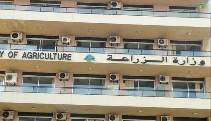 طرابلس... ضبط مخالفات صيد تهدد الثروة السمكية
