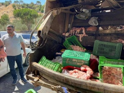 مخالفة صحية خطيرة في راشيا: دجاج فاسد يُباع للمواطنين!