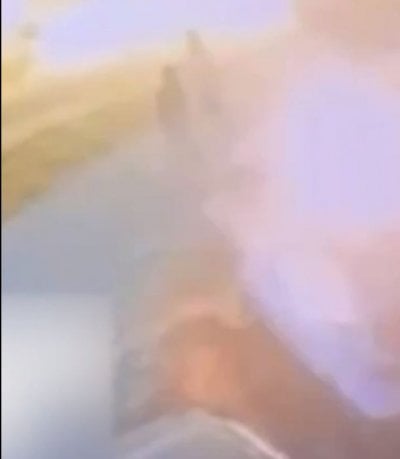 إحراق ممتلكات فلسطينية على يد مستوطنين... والجيش الإسرائيلي يتدخل لاحقًا (فيديو)

