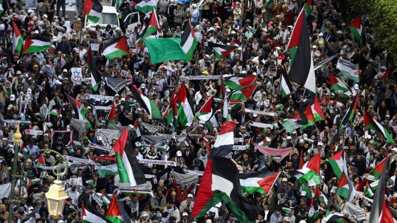 ضد التجويع الممنهج...  دعوة من حماس لتظاهرات دولية غدًا