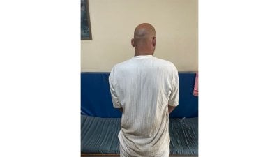 توقيف شخص عذّب كلبًا في القبة بطرابلس
