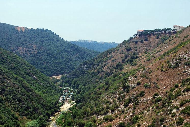 القبض على خلية في الشوف... ماذا عُثر في حوزتها؟ 