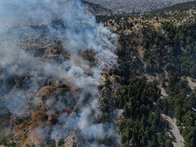 مساحات كبيرة تضررت... النيران تلتهم وادي جهنم وجهود الإطفاء مستمرة!

