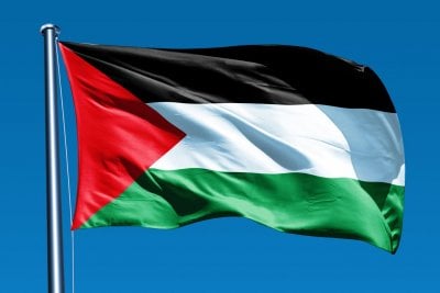 بعد إعتراف فرنسا بفلسطين... تخبط دولي!