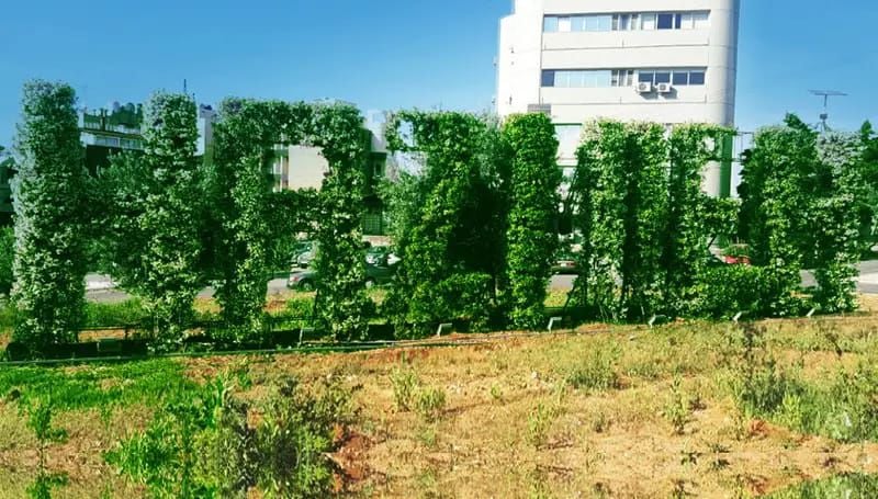 بلدية الحازمية تتخذ إجراءات صارمة بوجه أصحاب المولدات
