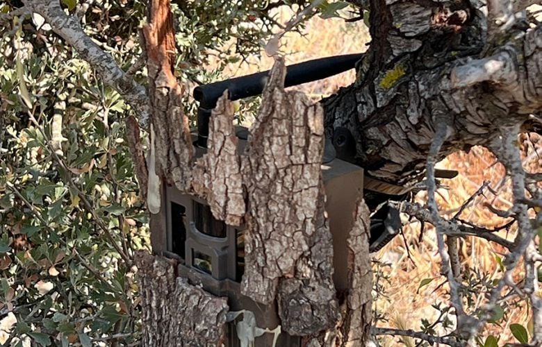 الجيش يفكك "عينًا إسرائيلية" في حاصبيا (صورة)