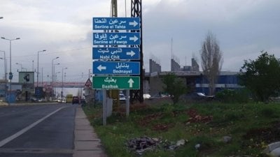 حادثة مروّعة في سرعين... كلب شارد يهاجم طفلاً