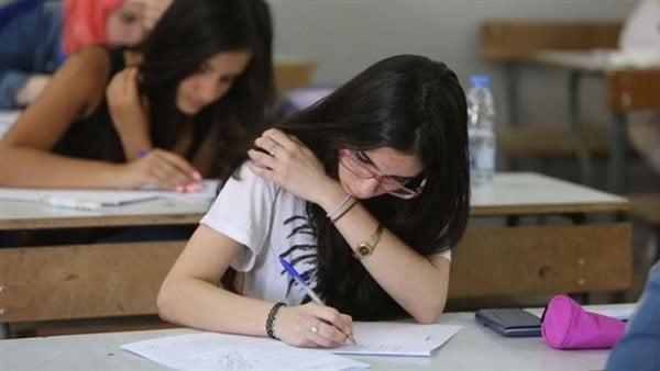  بجميع الفروع... محافظتا الجنوب والنبطية تتصدّران نسب النجاح في الثانوية العامة!(صور)
