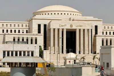 انتخابات مجلس الشيوخ المصرية 2025...  تعليق ساويرس  يشعل الجدل!