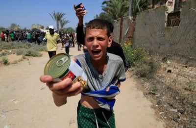 غزة في قلب المجاعة... أطفال يذبلون وأمهات يودعن فلذاتهن
