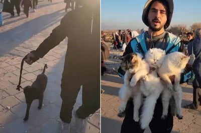 في لوس أنجلوس... حيوانات بلا أصحاب بعد مداهمات الهجرة 