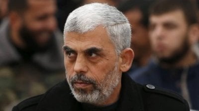  بسبب اسم السنوار... قائمة مواليد تضع مستشفى 