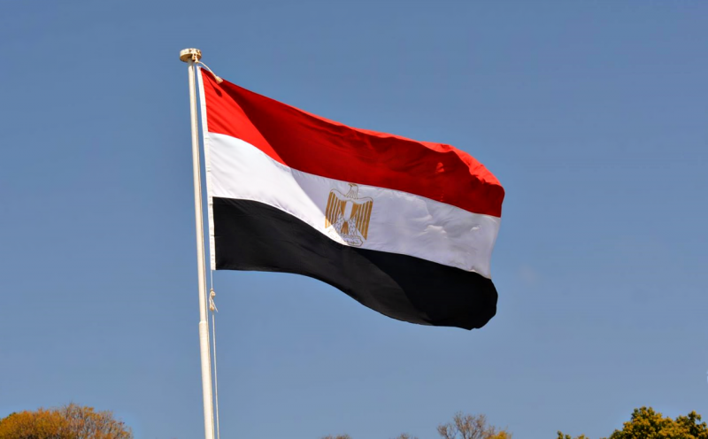 مصر تدعو الاتحاد الأوروبي للتحرك لوقف العمليات العسكرية في غزة