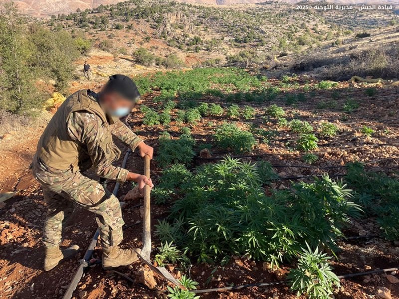 "الجيش" يضبط معدات لتصنيع الكبتاغون خلال عمليات دهم في بعلبك